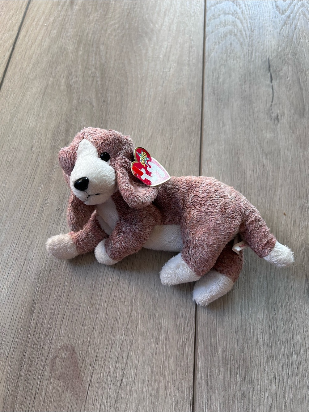 NWT Vintage 2000 Ty Beanie Baby Sniffer the Dog Plush Retired Brown White